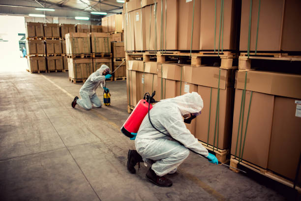 Best Pest Inspection Near Me  in Old Jamestown, MO