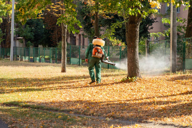 Best Best Pest Control Companies  in Old Jamestown, MO