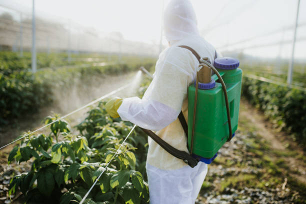 Best Residential Pest Control  in Old Jamestown, MO